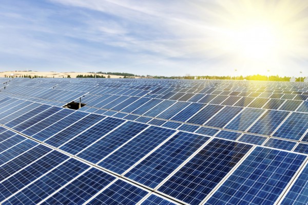 federal-network-agency